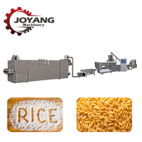 Ligne de traitement du riz artificiel toutes capacités, machine extrudeuse de riz nutritionnel à double vis