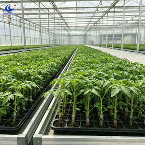 Tavolo Ebb and Flow ChenChao OEM in ABS per uso alimentare con ruote, per serra - Product Image 4