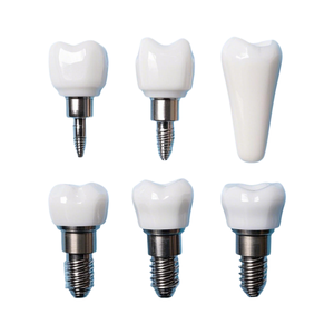 Servizi di Lavorazione CNC OEM per Impianti Chirurgici, Servizi di Lavorazione di Alta Precisione per Componenti di Impianti Dentali - Product Image 2