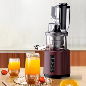 Centrifugeuse électrique <span class=keywords><strong>Angel</strong></span> multifonctionnelle personnalisable <span class=keywords><strong>extracteur</strong></span> lent à grande bouche pour légumes herbe de blé mélangé bouteille - Product Image 3