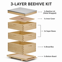 2-Rahmen Langstroth Bienenstock aus Holz für die Imkerei – Bienenhaus aus chinesischer Tannenholz mit Schwalbenschwanzverbindung, einfache Montage