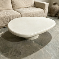 Table basse ovale de style nordique blanc, simple, durable, moderne et luxueuse pour salon