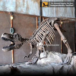 Mi <span class=keywords><strong>DINO</strong></span> DS-038 juegos tamaño <span class=keywords><strong>T</strong></span>-<span class=keywords><strong>Rex</strong></span> dinosaurio esqueleto de atracción - Product Image 5