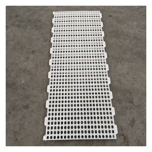 พื้นพลาสติกแบบมีร่องสำหรับเล้าไก่แบบใหม่ อายุ 1 วัน สำหรับฟาร์มเลี้ยงไก่เนื้อ รับประกัน 1 ปีสำหรับลูกไก่ - Product Image 1