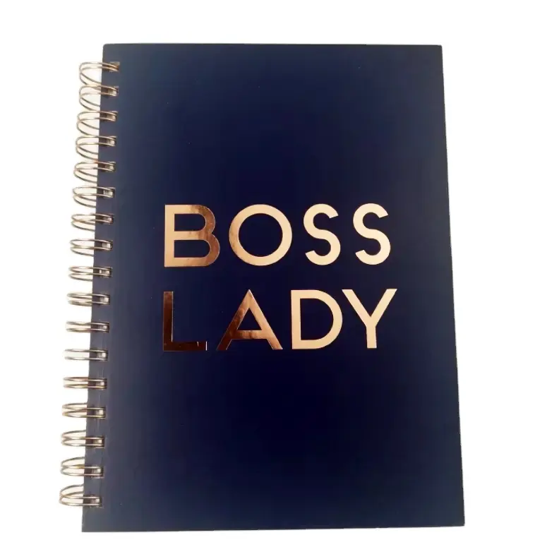 Custom Goedkope Prijs Spiraal Notebook Meisje Baas Business Planner En Budget Planner Afdrukken Journal Dagelijkse Planner