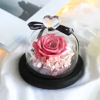 Penutup Kaca Mawar Tunggal Love Preserved Bunga Dekorasi Ornamen Hadiah Produk Bunga Dekorasi Pernikahan