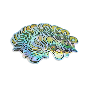 Tùy chỉnh Holographic in ấn ngoài trời UV bằng chứng dán logo không thấm nước dính PVC Vinyl Decal chết Cắt nhãn - Product Image 1