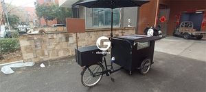 Tricycle électrique à assistance au pédalage 500w pas cher congélateur affaires Gelato vélo chariots à crème glacée vélo - Product Image 4
