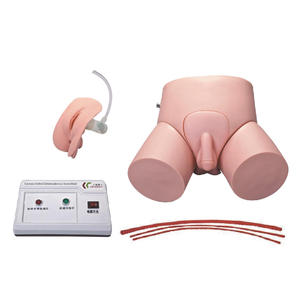 Modèles de simulateurs d'entraînement à la cathétérisme urétral et aux lavements pour hommes/femmes, électroniques et économiques, pour la science médicale - Product Image 1