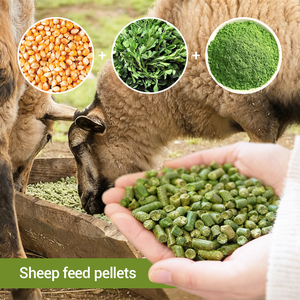 Máquina <span class=keywords><strong>de</strong></span> pellets <span class=keywords><strong>de</strong></span> alfalfa, peletizador <span class=keywords><strong>de</strong></span> alimentación <span class=keywords><strong>de</strong></span> hierba forrajera para ganado, vaca y cabra con protector <span class=keywords><strong>de</strong></span> fibra - Product Image 6