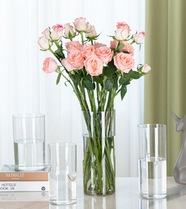 Vente en gros grand <span class=keywords><strong>vase</strong></span> hydroponique de bonne qualité pour plantes aquatiques - Product Image 4