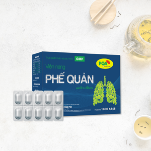 Cápsulas de Gelatina Dura a Base de Hierbas Bronquiales, Suplementos para la Salud Pulmonar, Buen Precio, Apoyo Inmunológico, Fabricación en Vietnam - Product Image 4