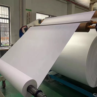 60g,70g Rpet 100% Polyester Verstärkungs netz Stitch bond Vliesstoff für Teppich rücken und wasserdichtes Dach Dach gewebe