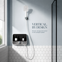 Panneau de douche bicolore avec douchette à main, étagère de rangement noire, commande à double bouton, ensemble de douche mural pour salle de bain