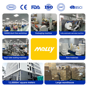 कस्टम लोगो एंटी स्टैटिक मोबाइल फोन लैपटॉप इलेक्ट्रॉनिक स्क्रीन सफाई वाइप्स व्यक्तिगत रूप से लिपटे - Product Image 6