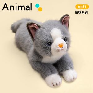 Venta caliente 38cm realista mintiendo <span class=keywords><strong>gatito</strong></span> peluches muñeca color sólido gato simulado juguetes de peluche para niños relleno de algodón PP - Product Image 4