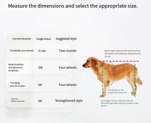 <span class=keywords><strong>4</strong></span> पहिया समायोज्य कुत्ते गाड़ी/व्हीलचेयर के लिए पीछे पैरों के साथ पालतू/कुत्ते व्हीलचेयर - Product Image 5