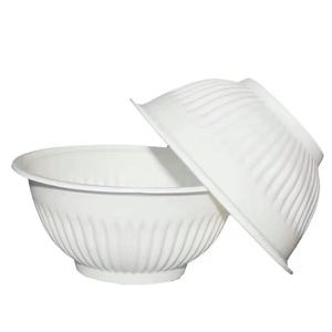 Biodegradable Polylactic PLA raw material for bioplastic lunch boxes