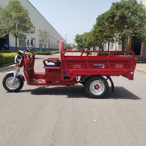 DAYANG tricycle <span class=keywords><strong>à</strong></span> <span class=keywords><strong>3</strong></span> <span class=keywords><strong>roues</strong></span> <span class=keywords><strong>moto</strong></span> <span class=keywords><strong>à</strong></span> essence motorisée ouverte de marque chinoise pour la livraison de passagers avec grand réservoir de carburant - Product Image 5