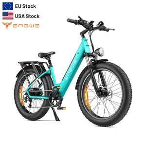 ENGWE E26 ST 250W 모든 지형 오프로드 Ebike 자전거 성인용 26 인치 타이어와 전기 자전거를 통해 단계