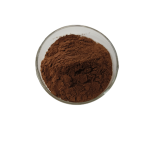 Amomum Villosum Fructus Amomi Extracto 10:1 Fructus Amomi - Product Image 5