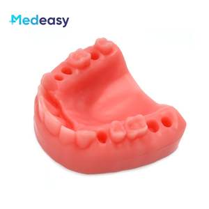 Coussin d'entraînement de suture dentaire, modèle dentaire pour la pratique de la suture, coussin de suture orale avec plaies - Product Image 5