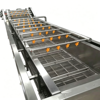 Industriële 304 roestvrijstalen machine voor het wassen, drogen en verwerken van groenten en fruit, inclusief apparatuur voor het reinigen van gedroogde dadels
