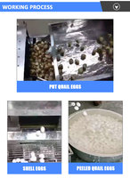 50kg/heure Nouveau type de vente comme des petits gâteaux chauds Petit décortiqueur/éplucheur d'oeufs de caille automatique en acier inoxydable
