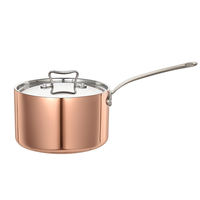 Ensemble de casseroles en acier inoxydable 304 de qualité alimentaire, plaqué or, 3 couches, avec couvercle plat, entièrement recouvert, compatible avec les plaques à induction, OEM