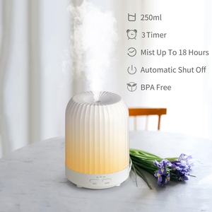 Xách Tay Mini LED Ánh Sáng Cup Phun Tạo Độ Ẩm 250Ml Đôi Ướt Hương Thơm Tinh Dầu Khuếch Tán H2O Xe Không Khí Hộ Gia Đình Nhựa - Product Image 2