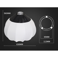 Boîte à lumière sphérique pliable de 65 cm, lanterne en papier, forme de globe, diffuseur avec monture Bowens pour flash de studio
