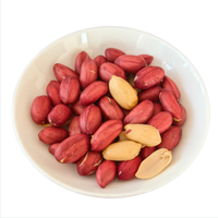 Cacahuetes Frescos Pelados, Snacks Saludables de Frutos Secos, Precio Competitivo