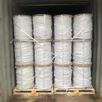 Hochleitfähiges Reinkupfer-Schweißkabel 16mm-120mm Industriequalität 60A Nennspannung 450V Niederspannung Hochflexibel