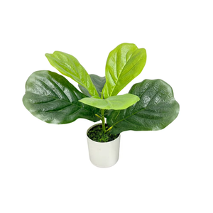Vente directe d'usine TREESMAS LY237 Arbre artificiel en plastique Ficus lyrata 35x30cm pour la décoration intérieure et extérieure des magasins et du commerce de détail - Product Image 1
