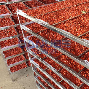 Machine de séchage de légumes pour usage domestique et professionnel, sécheuse à tranches d'oignon, équipement de séchage de chips de piment, sécheuse à fleurs et abricots, PLC - Product Image 1