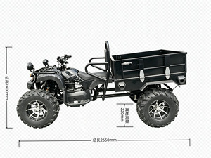 Tao Motor 2026 Nouveau VTT 200cc 2x4 Tout-Terrain Moto Quad 4 Roues UTV Moto de Ferme Quad Moto à Vendre - Product Image 3