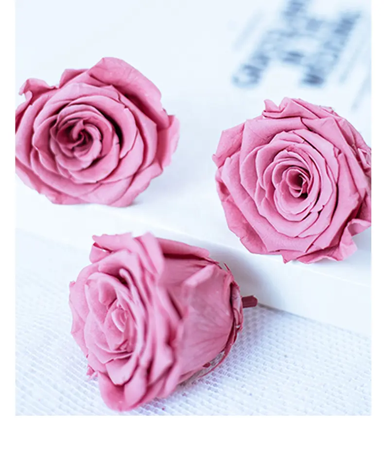 Bán Buôn Bảo Quản Rose Hộp Đen Với Rose Eternity Hoa Hồng Bảo Quản