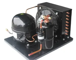 Low price condensing units with 12V/24V DC fridge compressor for container cold room