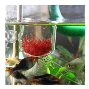 Clear Glass Shrimp Feeding Food Dish Aquarium Fish Glass Feeding Cup Fish Feeder Brine Shrimp Eggs Food for Aquarium - Product Image 3