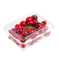 Récipient à fruits 500g en plastique pour raisins avec couvercle