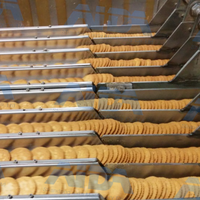 Ligne de production de biscuits industrielle avec four tunnel à gaz pour biscuits durs, mous et biscuits sablés – Prix compétitif