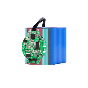 Pack de batteries lifepo4 24v, 10ah, OEM, 18650, pour <span class=keywords><strong>vélo</strong></span> <span class=keywords><strong>électrique</strong></span> géant - Product Image 2