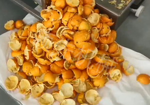 Maquinaria para Extracción <span class=keywords><strong>y</strong></span> Elaboración de Jugo de <span class=keywords><strong>Naranja</strong></span>, Línea de Producción de Jugo de Cítricos, Máquina Industrial para Jugo de <span class=keywords><strong>Naranja</strong></span> Natural - Product Image 4