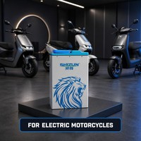 Paket Baterai Lithium Sepeda Motor Listrik 76V40Ah dengan 4000+ Siklus, Perlindungan BMS Berperingkat IP67, Suhu Operasi -20C hingga 60C