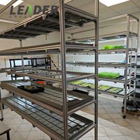 Équipement de plantation, support en profilé d'aluminium multicouche, système hydroponique à flux et reflux, table de culture à plateau de 4x8, bac à semis