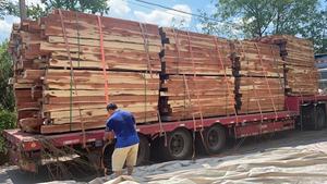 Sepenuhnya dapat disesuaikan tabung ganda sepatu kayu Cedar pohon kualitas Premium sepatu yang dapat disesuaikan berlangsung - Product Image 5