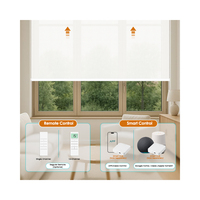Persiana enrollable motorizada inteligente Matter Over Thread, con motor recargable y control por voz Matter