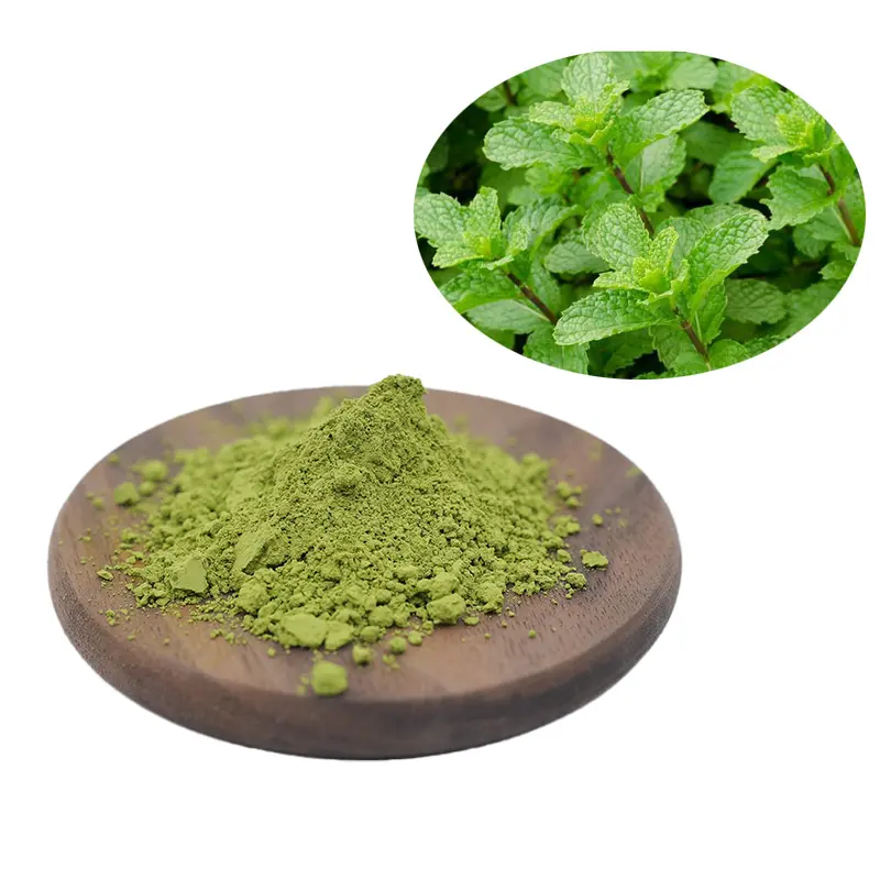 Suministro de fábrica Pure good Peppermint Leaf Powder Mint Leaf Powder