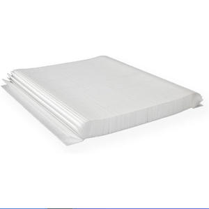 Filtre de piscine et de spa 10-00814 pour piscines Bullfrog M Swim A Series, matériau PP résistant aux alcalis et aux acides - Product Image 2