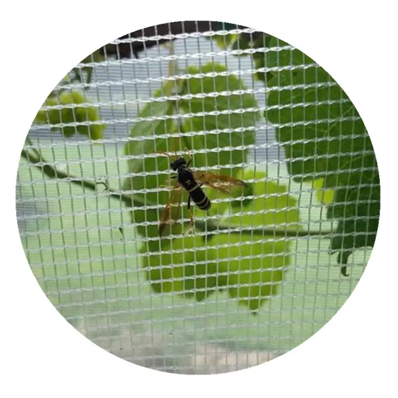 Best Verkopende Bladluis Proof Netting Anti Insect Voor Fruit